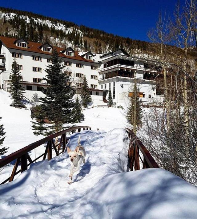 Monarch Mountain Lodge Bagian luar foto